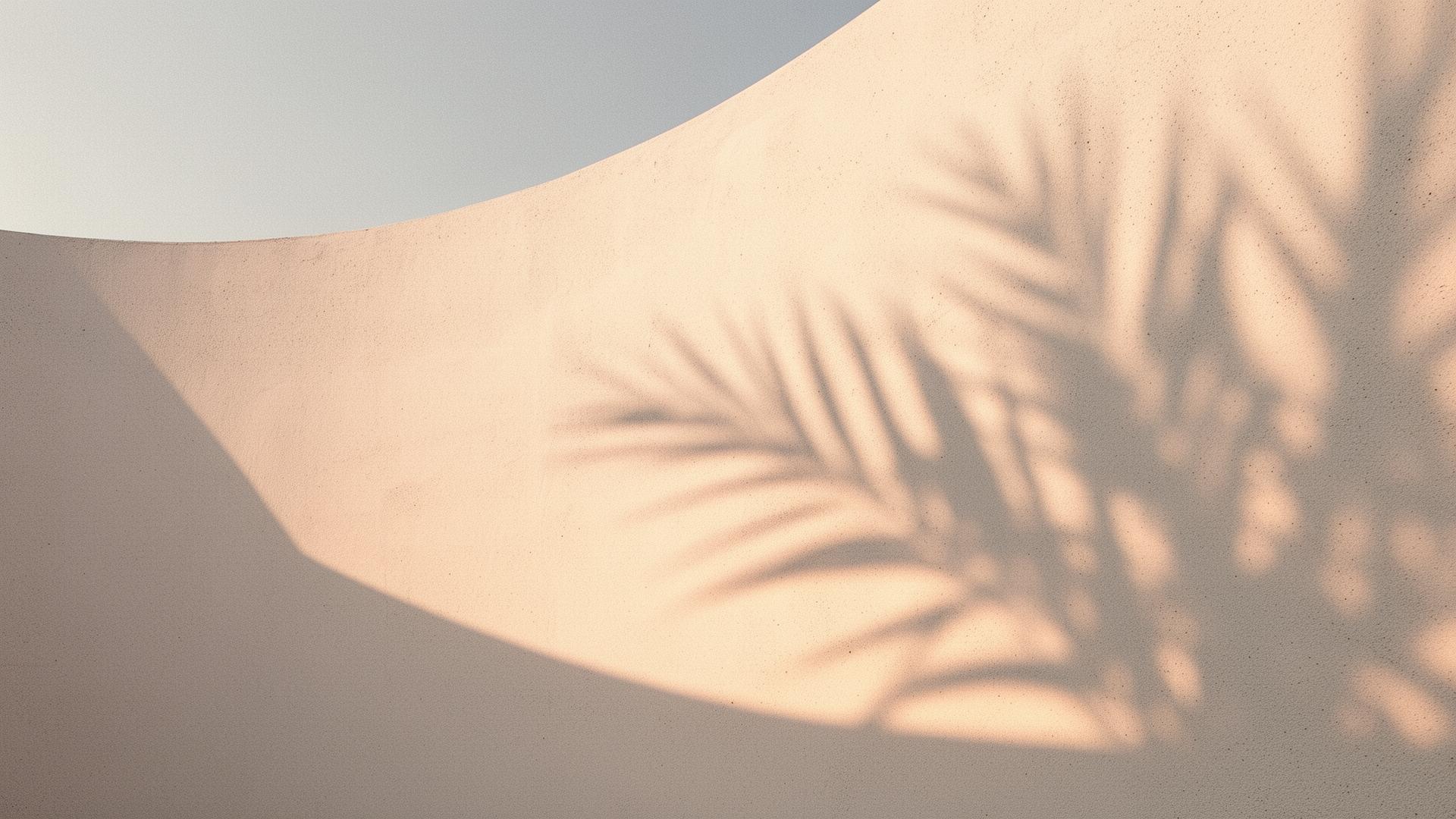 Warm sunlight casting palm shadows on a curved wall